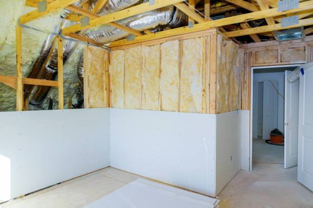 Best Professional Insulation Contractor  in Kings Grant, NC